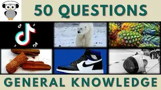 General Knowledge Quiz Trivia #183 | Tik Tok Song, Polar Bear, Pineapple, Cinchona Bark, Fencing