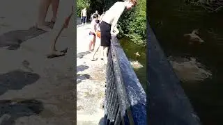 в Серебрянном бору (сегодня) //О. Белый