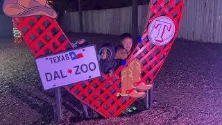 Dallas Zoo lights