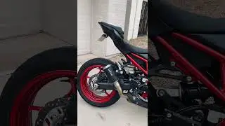 Z900 cold start 😮‍💨🔥