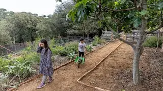 De la dutxa a la cisterna del vàter: com estalviar aigua a casa