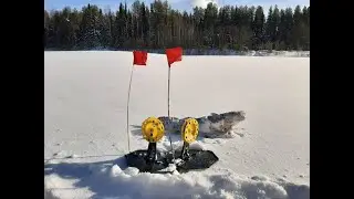 Рыбалка на жерлицы. Налим. Март. Мороз -25.