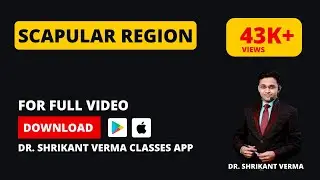 Upper Limb Anatomy | Scapular Region Explained in Hindi | Dr. Shrikant Verma