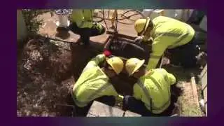A Hawaiian Electric Moment - Distribution Transformer Replacement