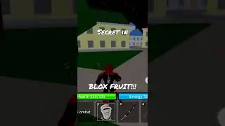 BLOX FRUIT SECRET!!!