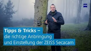 Optimale Positionierung der Wildkamera im Jagdrevier: Tipps & Tricks zur Ausrichtung und Einstellung