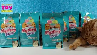 Squishmallows Mystery Squad Breakfast Besties Blind Bag Plushies Opening | PSToyReviews