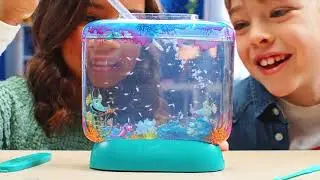 AquaDragon LED Aquarium