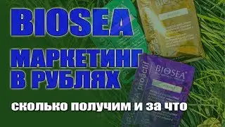 BIOSEA Доход директора. Маркетинг в рублях. Сколько получим и за что.