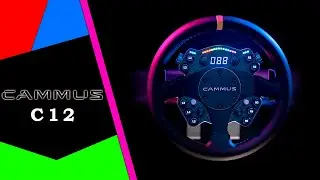 Cammus C12 🛞 12nm Direct Drive Steering Wheel at a Great Price / 4K Review