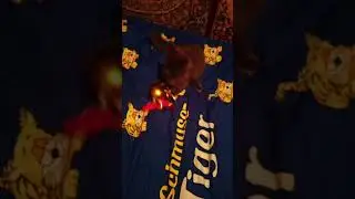 Золотой шарик .