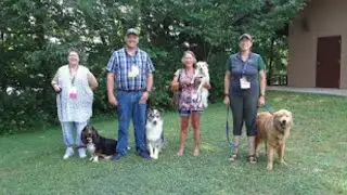 Animal-assisted therapy has been shown to reduce stress and improve emotional regulation