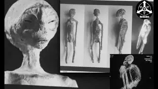 Peruvian alien bodies