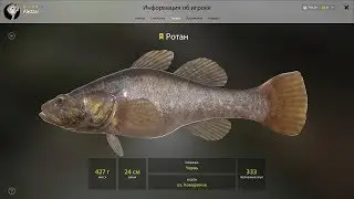 Русская Рыбалка 4 - Ротан Оз. Комариное !!Tрофей!!