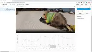 Label Studio: Time Series plus Video sync