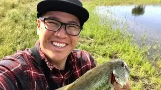 Bass bites at a Bay Area pond!