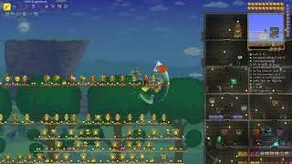 Terraria-para la insignia.kappa
