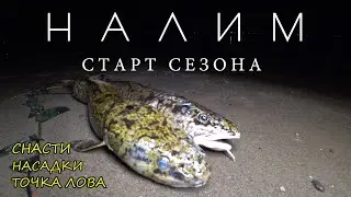 Открытие СЕЗОНА 2024-25 по налиму! Что нужно для ловли налима с берега? Снасти, насадка