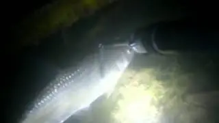 возле рака тьмы mpg