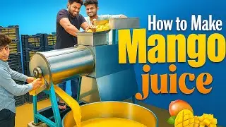 How to Make Mango Juice in Bulk | Desi Style Mango Processing Factory – Full Juice Making Process