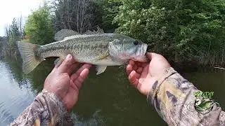 TRYING TO CATCH A BAG OF BASS IN OUR NEW HONEY HOLE
