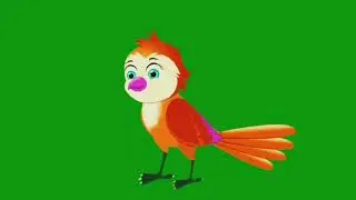Bird Green Screen/Tuni Chidiya Green Screen/Cartoon Bird Green Screen/Green Screen Bird/NoCopyright