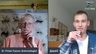 ЕНТОМОЛОГІЯ  ЯК НАУКА, ХОБІ, ЗАХОПЛЕННЯ. ПРО  КОЛЕКЦІЇ, ТА ПОЛЮВАННЯ НА КОМАХ. Entomology Stream.