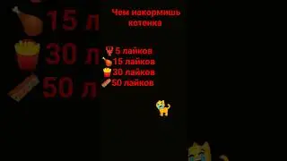 чем накормишь котика