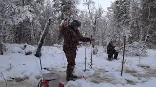Зимняя рыбалка,ловим окуня!