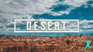 PERDIDO EN EL DESIERTO