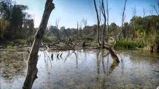 Mártély, Tisza-part, 2. rész
