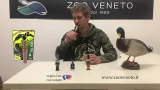 COME UTLIZZARE RICHIAMI A FIATO DI ALZAVOLA, FISCHIONE E CORNACCHIA (DUCK COMMANDER & DANGATE)