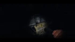 Das Asylum Rework hat uns gebrochen... | [Twitch Highlights September 2022] | Hexereye99