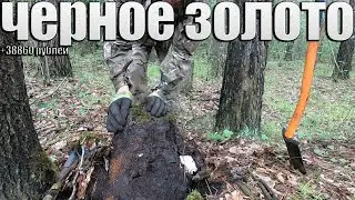 Коп металлолома Нашли схрон металлургического завода Дополнительный заработок с металлоискателем