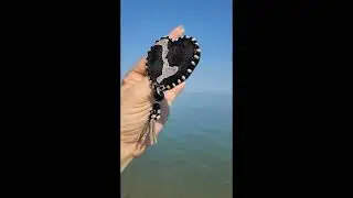 Брошь  ручной вышивки шелком и жемчугом 