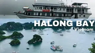 Halong Bay Tour (2 days/1 night) by Cozy Bay Cruise | Vietnam 2024
