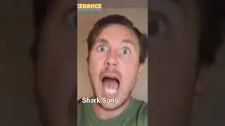 Baby Shark