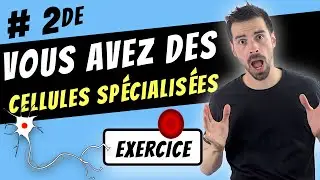 SPÉCIALISATION CELLULAIRE chez les humains -SECONDE-