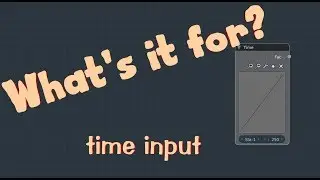 Whats it for?? time input node