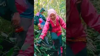 Hiking Trip to Mt Brinchang Barat, Cameron Highland, Pahang #hiking #cameronhighlands #mossyforest