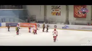 Все свободны работает профессионал. #brotherspolatov #goals #топ #врек #рек #hockey #nhl