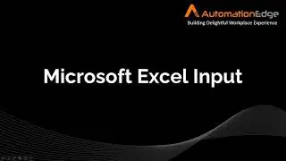 Microsoft Excel Input