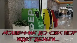 Мошенник до сих пор ждëт деньги/ Зеки вернут вам даже то, что вы не теряли/Бюро разводов