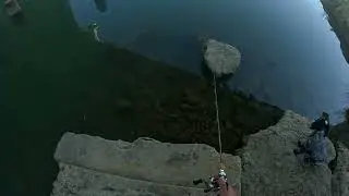 Ручной Голавлик )