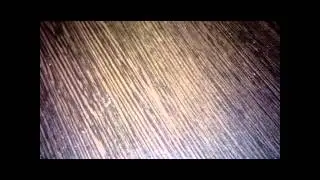 Stop motion монстер хай сериал " Путаница" 1 серия