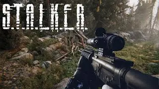 Вечерний чил ВЫБОР или Call of Chernobyl [Demosfen] или Skyrim