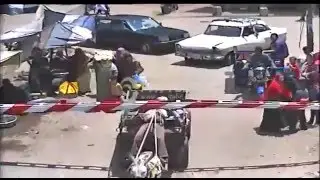 POOR DONKEY THOUGHT HE GOT THE GREEN SIGNAL TO GO