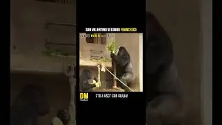 San Valentino secondo Francesco