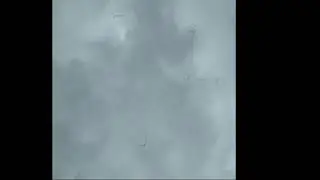 ЛЕТЯТ ГУСИ НА ЮГ