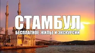Стамбул: бесплатное жилье и экскурсии. Бесплатное путешествие по Стамбулу.